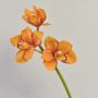 Decorative Cymbidium Orchid Branch SERAPHINA, orange-yellow, 45cm, Ø10–13cm