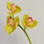 Decorative Cymbidium orchid branch SERAPHINA, green-pink, 45 cm, Ø 10–13 cm