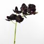 Decorative Phalaenopsis orchid branch JASMIN, burgundy, 18"/45cm