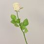 Artificial rose OPHELIE, cream-pink, 85 cm, Ø7 cm