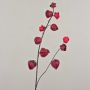 Decorative physalis branch MARCY, fruits, burgundy-red, 3ft/95cm