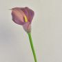 Artificial Zantedeschia TALEA, purple, 65cm, 9x11cm