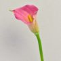 Artificial Zantedeschia ‘TALEA’, pink-yellow, 65cm, 9x11cm
