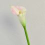 Artificial Zantedeschia TALEA, white-pink, 65cm, 9x11cm