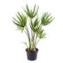 Artificial Cyprus grass SASINA, green, 22"/55cm