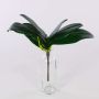 Decorative Phalaenopsis orchid leaves DAPHI, aerial roots, 11"x13"/29x33cm