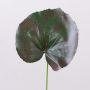 Faux geranium leaf HEIDEGARD, green-red, 15"/38cm, Ø5.5"/14cm