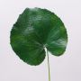 Artificial geranium leaf HEIDEGARD, green, 15"/38cm, Ø5.5"/14cm