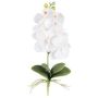 Artificial Phalaenopsis orchid DRINTOR, spike, roots, white, 16"/40cm