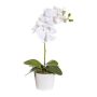 Artificial Phalaenopsis orchid TRALKE, spike, roots, white, 16"/40cm