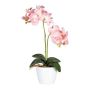 Artificial Phalaenopsis orchid FRUXO, spike, roots, pink, 20"/50cm