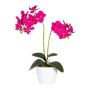 Artificial Phalaenopsis orchid FRUXO, spike, roots, fuchsia, 20"/50cm
