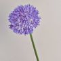 Decorative flower, ornamental leek LISBETH, purple, 80cm, Ø15cm