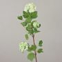 Faux snowball DJAMILA, white-green, 30"/75cm, Ø1.6"-3.1"/4-8cm