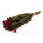 Dried bouquet of Italian strawflowers ALMINKA, purple, 20"-24"/50-60cm, Ø6"/15cm
