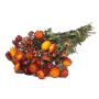 Dried bouquet of Italian strawflowers ALMINKA, red-orange, 20"-24"/50-60cm, Ø6"/15cm
