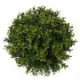 Artificial ball of boxwood TOM, wooden core, Ø11"/28cm