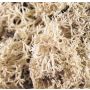 Genuine reindeer moss FINNBJÖRN, natural, 50g
