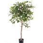 Decoration tree fuchsia MINERVA, natural trunk, flowering, pale pink, 3ft/90cm