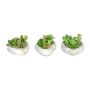 Artificial succulent arrangement SORIPI, 3 pieces, cement bowl in the shape of a heart, green-pink, 2.8"/7cm