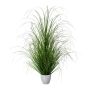 Decorative grass Pennisetum KIVRA, in decorative pot, green, 3ft/90cm