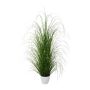 Decorative grass Pennisetum KIVRA in decorative pot, green, 4ft/120cm