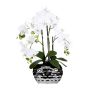 Artificial Phalaenopsis orchid SINKA in silvery decorative pot, white, 22"/55cm