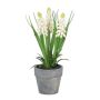 Decorative flower Grape hyacinth ZORKLEM in decorative pot, white, 7"/18cm