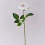 Artificial rose MARNUK, cream-white, 60cm, Ø9cm