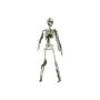 Halloween figure Small skeleton WENDELIN covered with moss, 16"/40cm