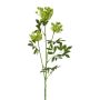 Faux wild carrot branch TOLHER, green, 33"/85cm