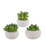 Decorative succulent arrangement ZIFER in cement pot, 3 pieces, green, 3.1"-4"/8-10cm