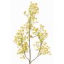 Decorative gypsophila branch MURMYN, yellow-green, 65 cm