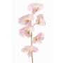 Artificial Lathyrus flower WAHNY, light pink-green-white, 45cm, Ø5.5cm