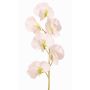 Artificial Lathyrus flower WAHNY, white and green, 45 cm, Ø 5.5 cm