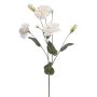 Artificial Lisianthus RENARA, white, 75cm