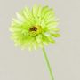 Artificial flower Gerbera TEUDELINDE, green-cream, 22"/55cm, Ø3.1"/8cm