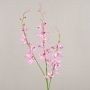 False flower branch Cymbidium orchid MONDEGO, pink-fuchsia, 3ft/95cm