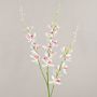 False flower branch Cymbidium orchid MONDEGO, white-fuchsia, 3ft/95cm