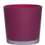 Glass plant pot ALENA FROST, magenta matt, 11cm, Ø11,5cm