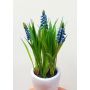 Fake flower Grape hyacinth NARMADA in cement pot, blue, 8"/20cm