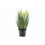 Decorative pampas grass TIMEA with panicles, green, 24"/60cm