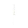 Plastic eucalyptus branch GLAUCO with glass-like finish, 12 pieces, white, 31"/80cm