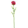 EVARISTO glass-effect plastic rose, 12 pieces, burgundy, 80cm