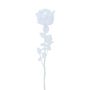 EVARISTO glass-effect plastic rose, 12 pieces, clear, 80 cm