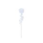 Glass-effect plastic rose EVARISTO, 12 pieces, transparent, 31"/80cm