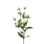 Artificial flower branch Globe amaranth THUSNELDA, cream-white, 28"/70cm