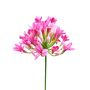 Artificial flower Agapanthus OMOLON, pink, 30"/75cm