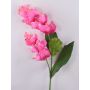 False flowering branch Medinilla LASENTER, pink, 4ft/110cm