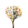 False flower Chrysanthemum bunch WEMKE, light pink-cream, 14"/35cm
